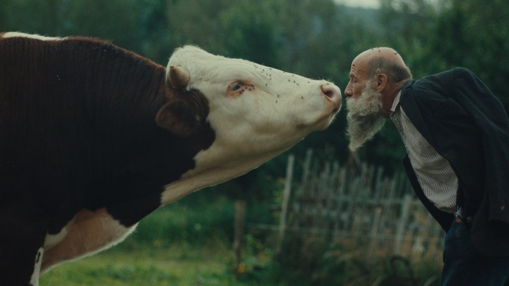 Better Go Mad in the Wild: Her Şeyden Uzakta Yaşamayı Anlama Sanatı