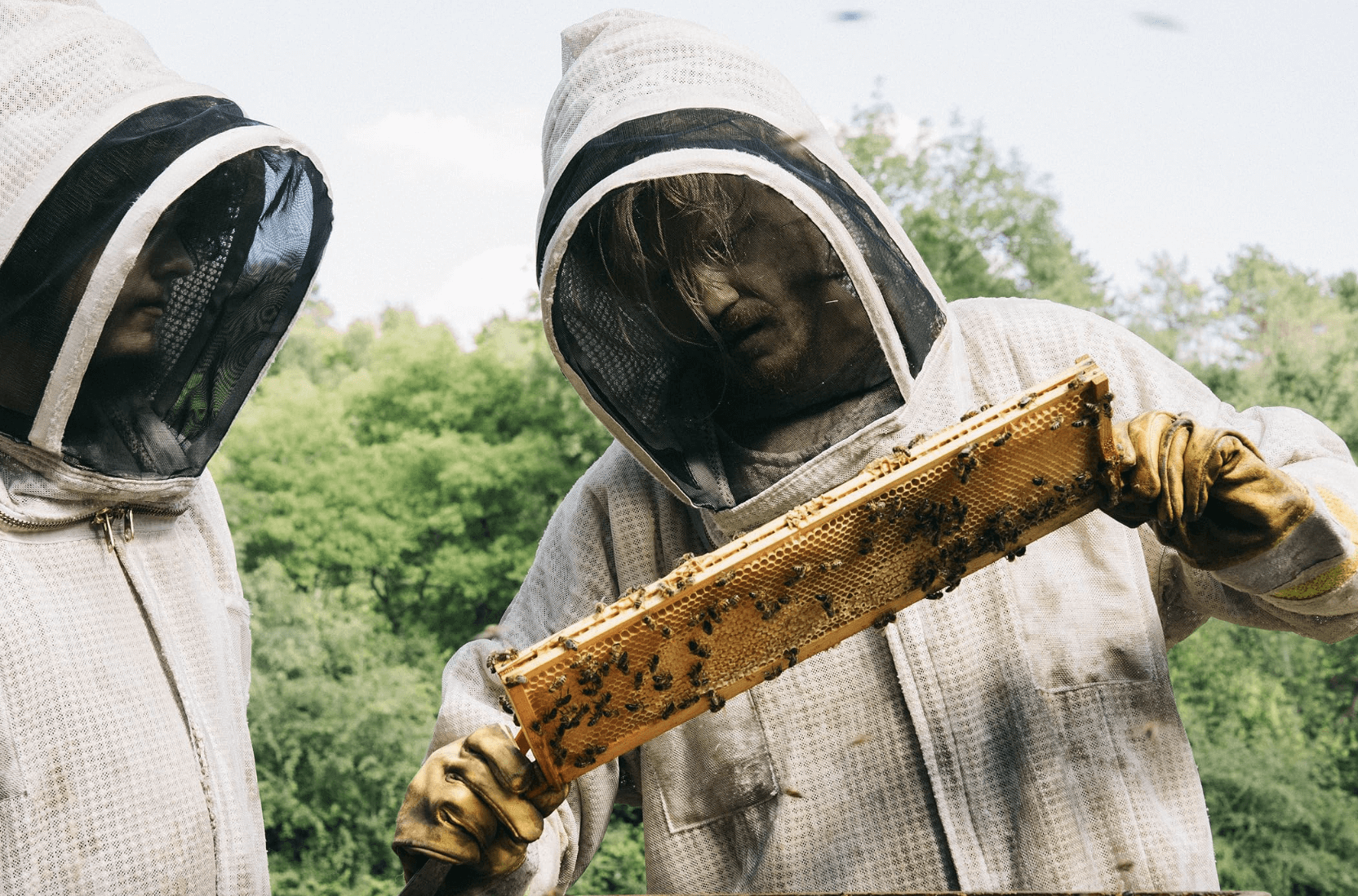 Bugonia: Dünyayı Kurtarmaya Çalışan Bir Arıcının Hikayesi